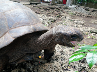 Similar image 21530168