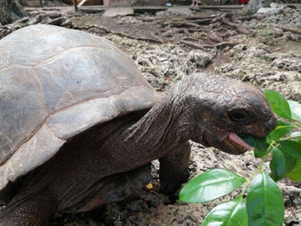 Similar image 21531083