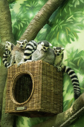 Similar image 21530740