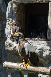 Similar image 21530741