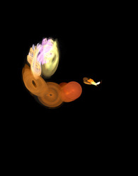 Similar image 21530661