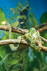 Similar image 21530742