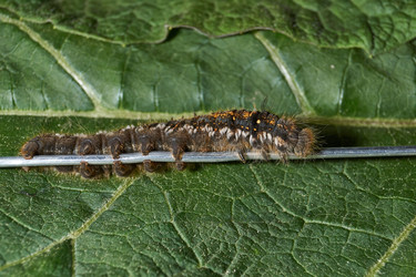 Similar image 21530278