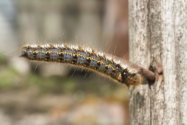 Similar image 21530279