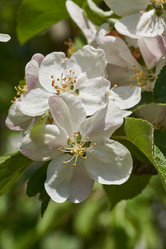 Similar image 21530281