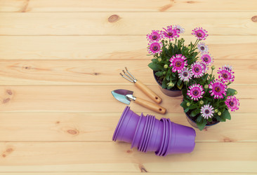 Similar image 21530289