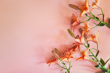 Similar image 21530294