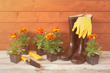 Similar image 21530304