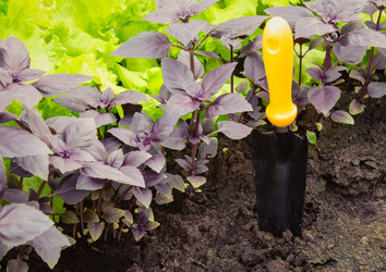 Similar image 21530350