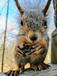 Similar image 21530169