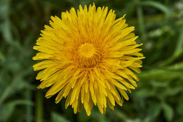 Similar image 21530209