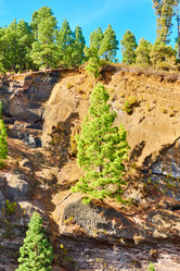 Similar image 21532128