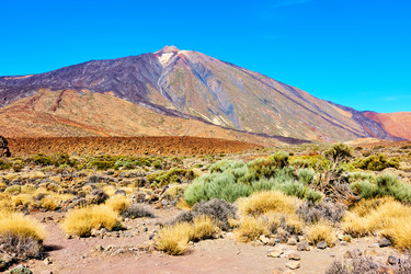 Similar image 21532144