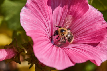 Similar image 21530987