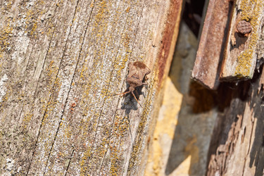 Similar image 21531385