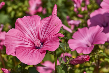 Similar image 21531386