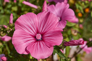 Similar image 21539285