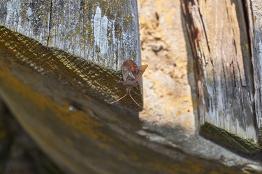 Similar image 21535301