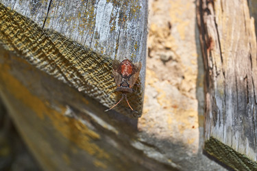 Similar image 21530990