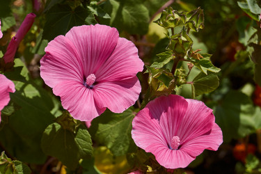 Similar image 21533018