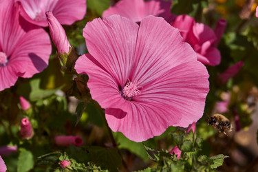 Similar image 21539897