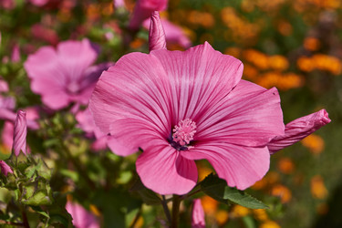 Similar image 21536042