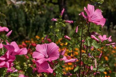 Similar image 21530992