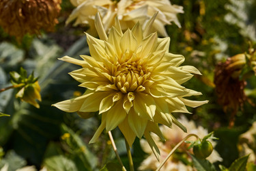 Similar image 21531087