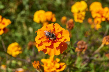 Similar image 21530217