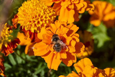 Similar image 21533020