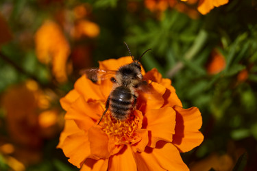 Similar image 21530995