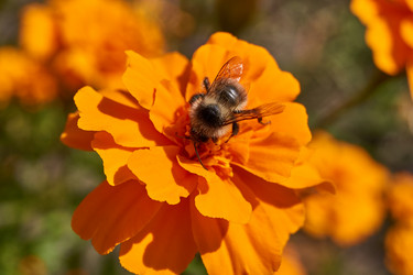 Similar image 21530218