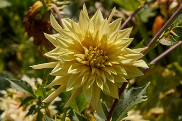 Similar image 21530219