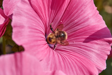 Similar image 21533022