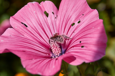 Similar image 21530372