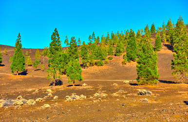 Similar image 21532506