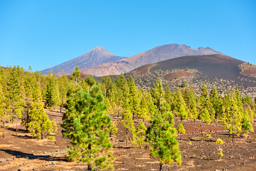 Similar image 21532507