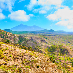 Similar image 21531862