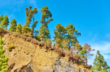 Similar image 21531902