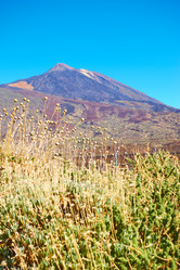 Similar image 21531907