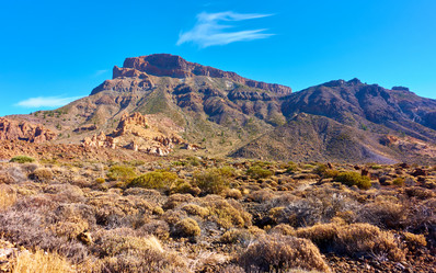 Similar image 21532154