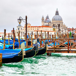 Similar image 21531913