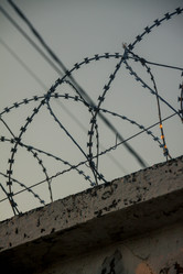 Similar image 21535736