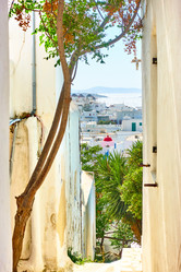 Similar image 21531955