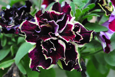 Similar image 21530376