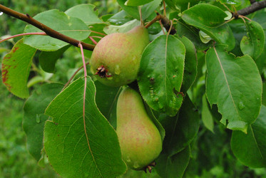 Similar image 21530377