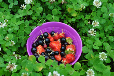 Similar image 21530380