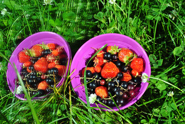 Similar image 21530381