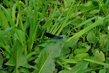 Similar image 21530382