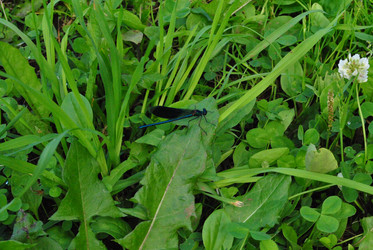 Similar image 21530383